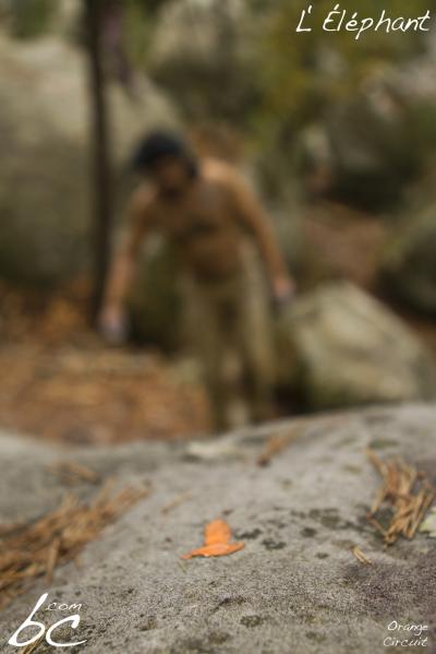 "Orange Circuit" (16)